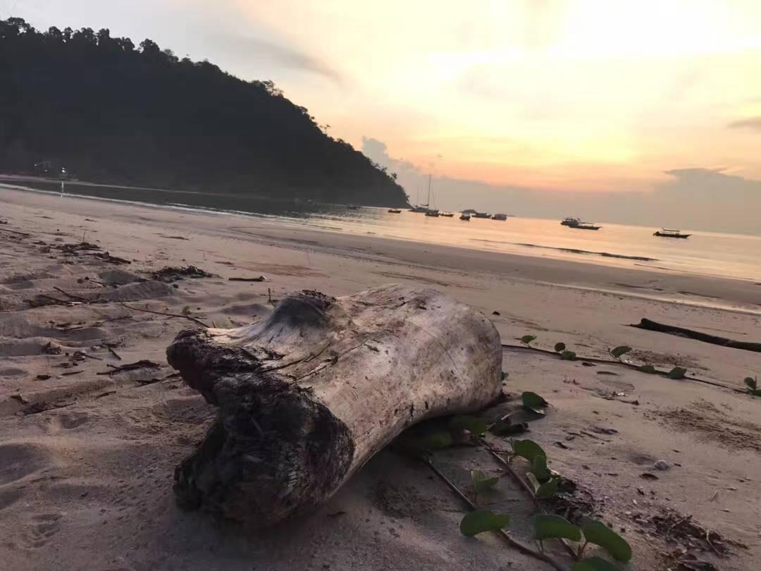 Juara Bay Resort Isola di Tioman Esterno foto